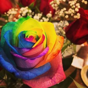 Meet your Posher, Karen